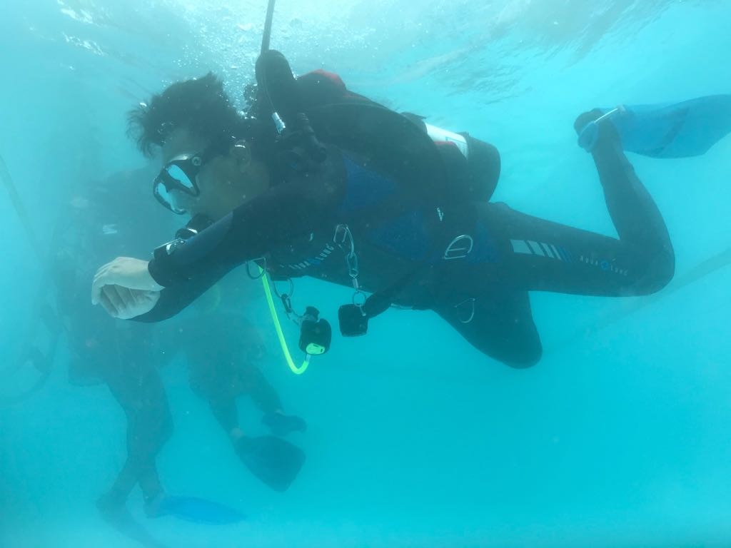 Nakula diver on a safety stop